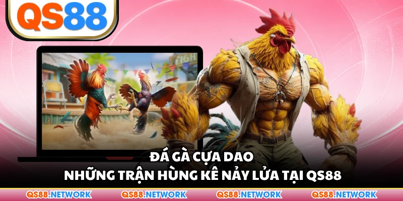 Đá Gà Cựa Dao - Những Trận Hùng Kê Nảy Lửa Tại QS88
