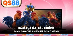 Đá Gà Cựa Sắt - Đấu Trường Đỉnh Cao Của Chiến Kê Dũng Mãnh