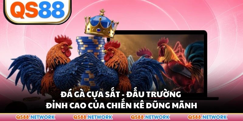 Đá Gà Cựa Sắt - Đấu Trường Đỉnh Cao Của Chiến Kê Dũng Mãnh