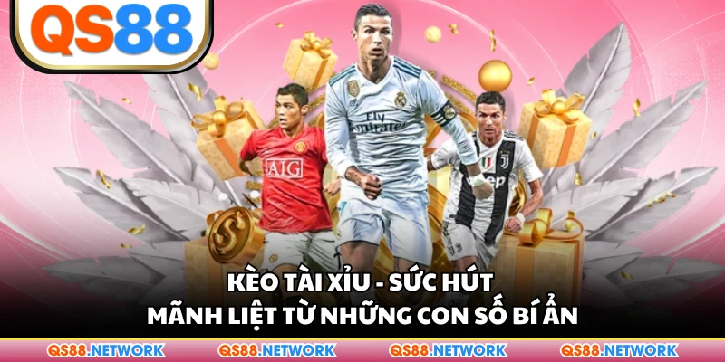 Kèo Tài Xỉu - Sức Hút Mãnh Liệt Từ Những Con Số Bí Ẩn