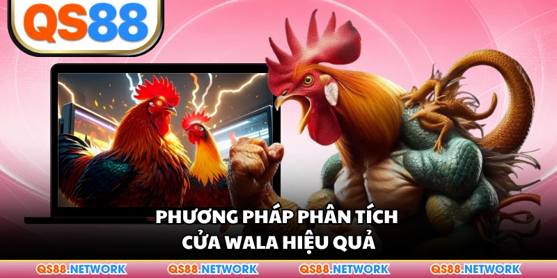 Phương pháp phân tích cửa Wala hiệu quả