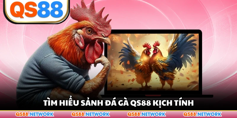 Tìm hiểu sảnh đá gà QS88 kịch tính
